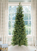 10' King Douglas Fir Slim Artificial Christmas Tree with 1200 Warm White & Multi-Color LED Lights