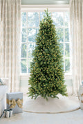 10' Royal Fir Slim Artificial Christmas Tree with 1500 Warm White & Multi-Color LED Lights