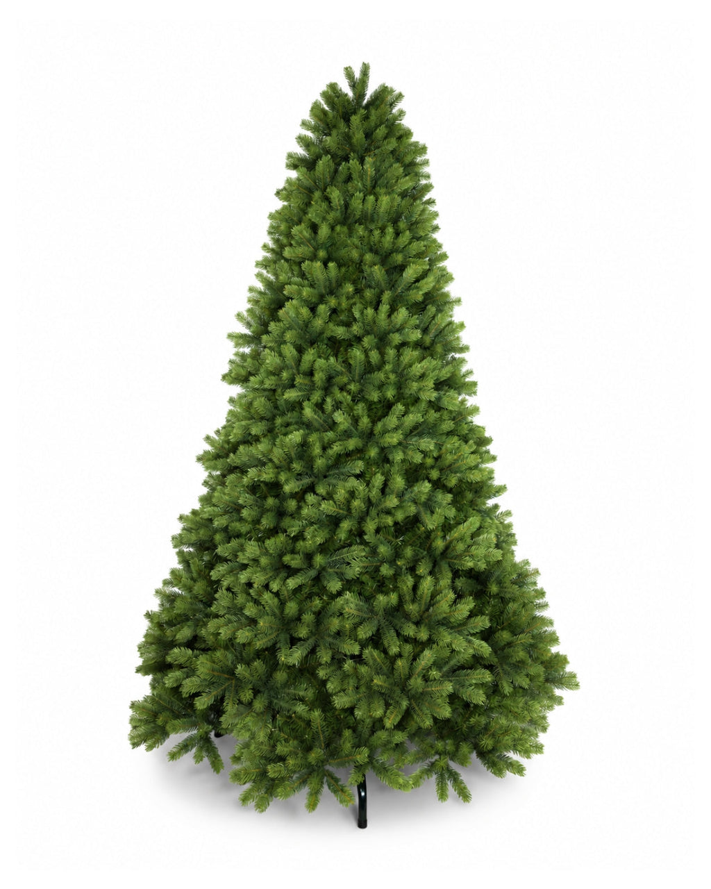 12' Royal Fir Artificial Christmas Tree with 2000 Warm White & Multi-Color LED Lights